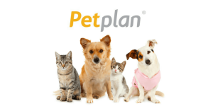 Petplan - pet insurance to cover vet bills