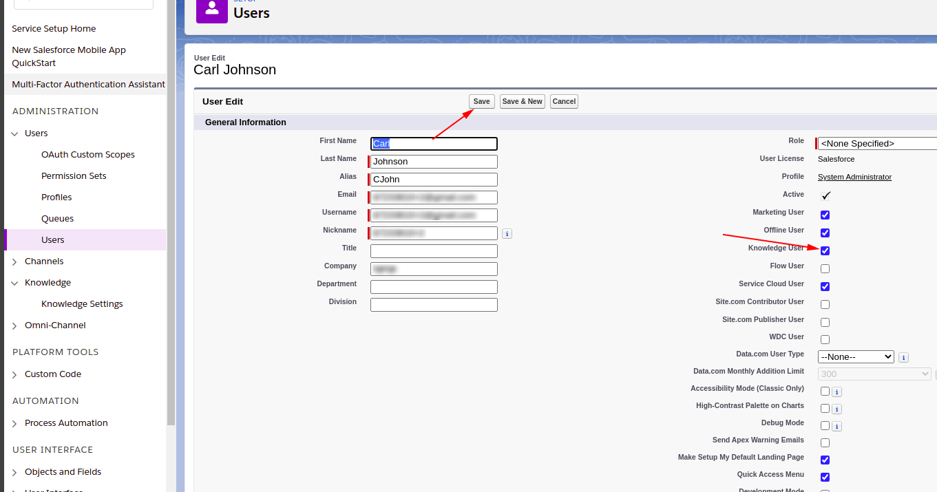 Knowledge User Salesforce