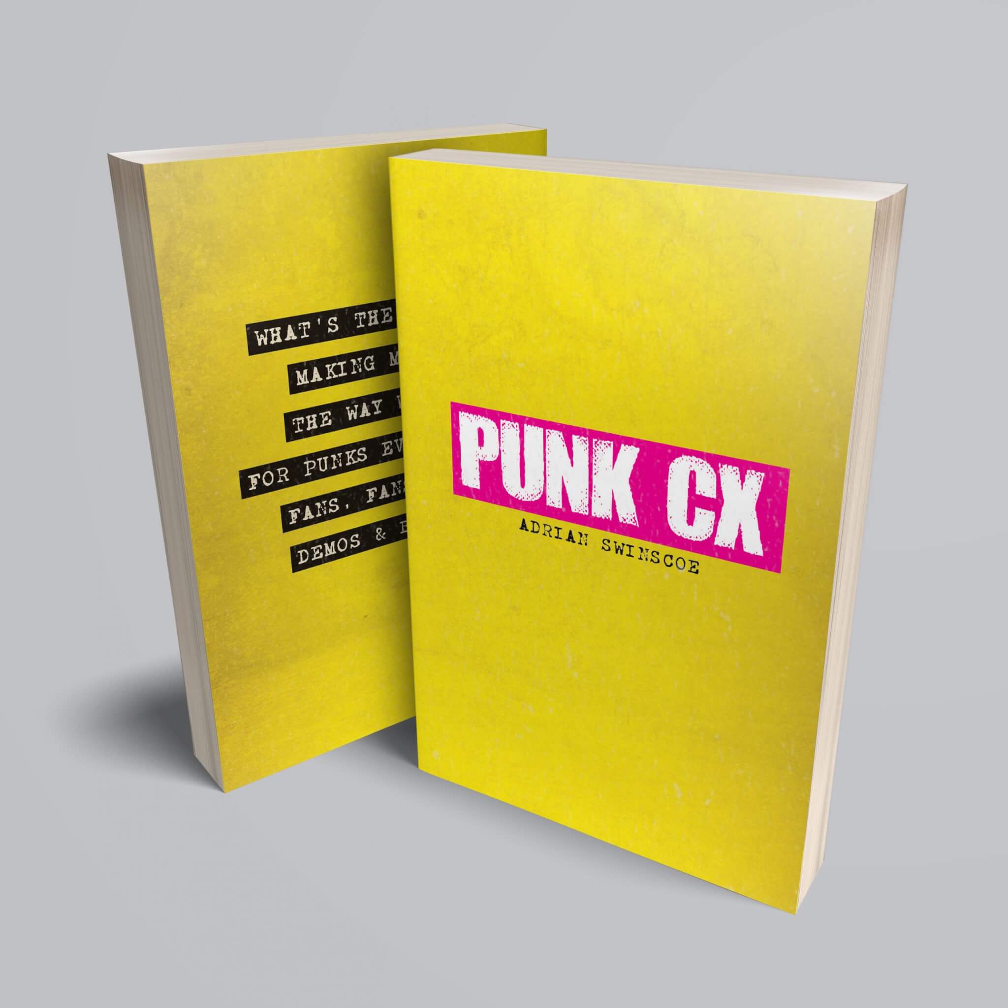 Book Cover of Punk CX