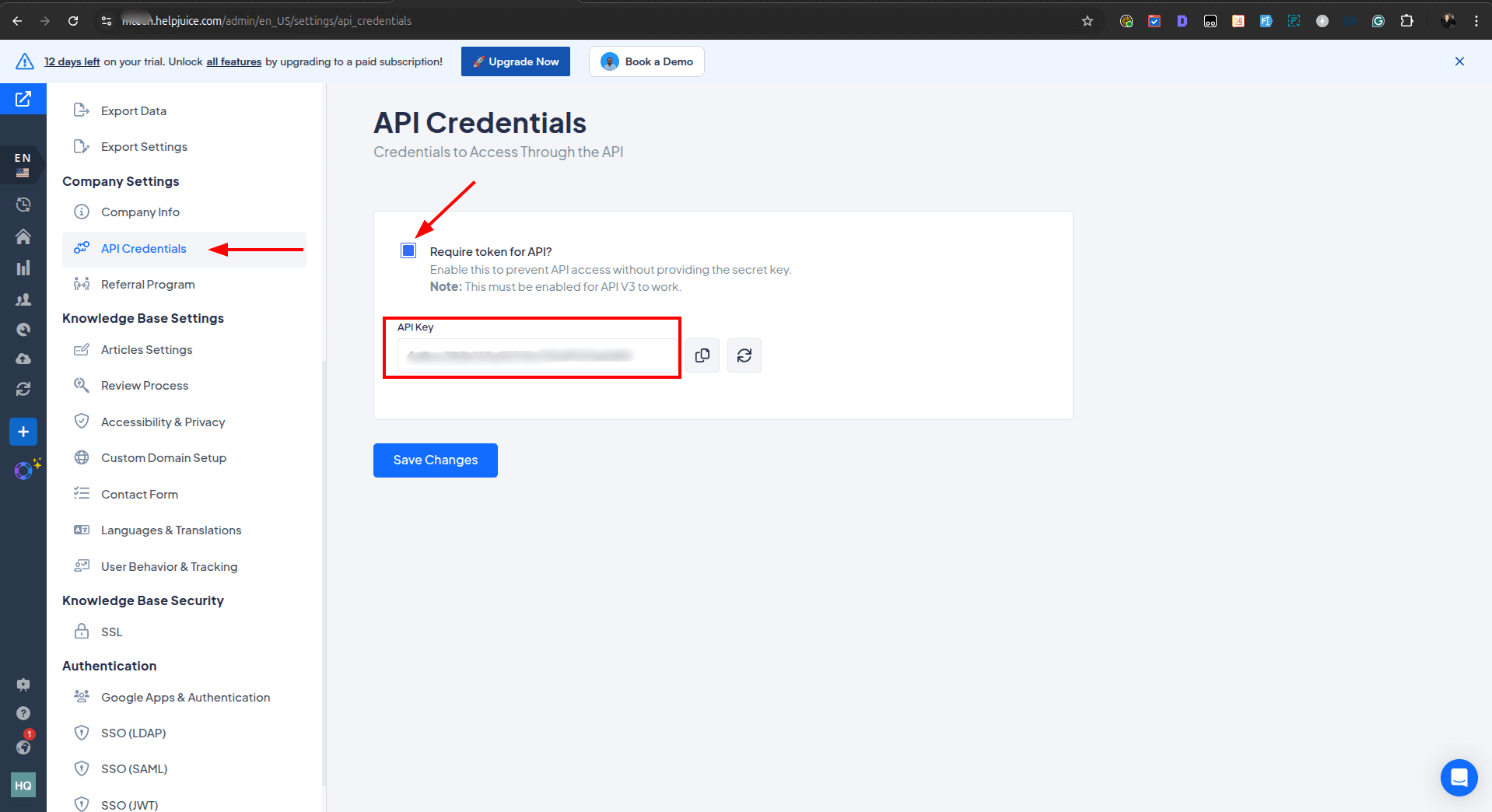 Credenciais da chave de API no Helpjuice